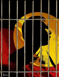 indigenous imprisonment