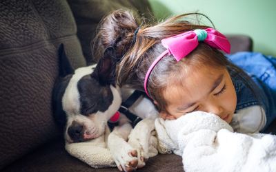 Dogs and Small Children