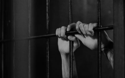 Scary Stories – Making A Murderer – Wrongful Conviction