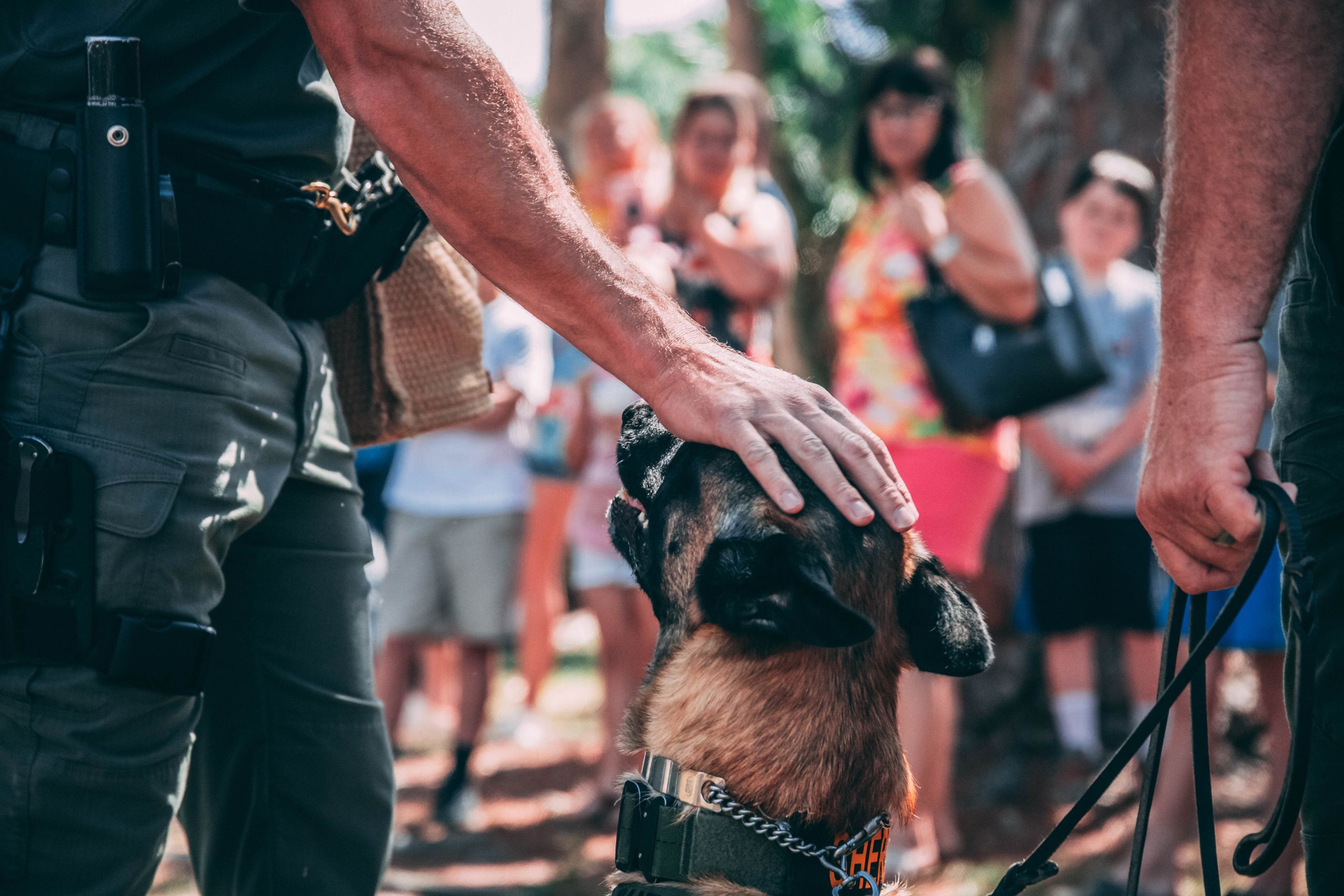 drug sniffer dog police powers