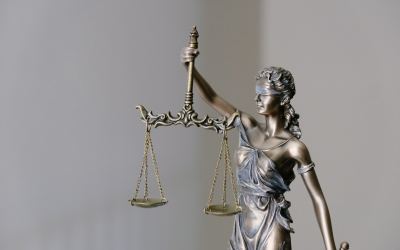 The Rule Of Law