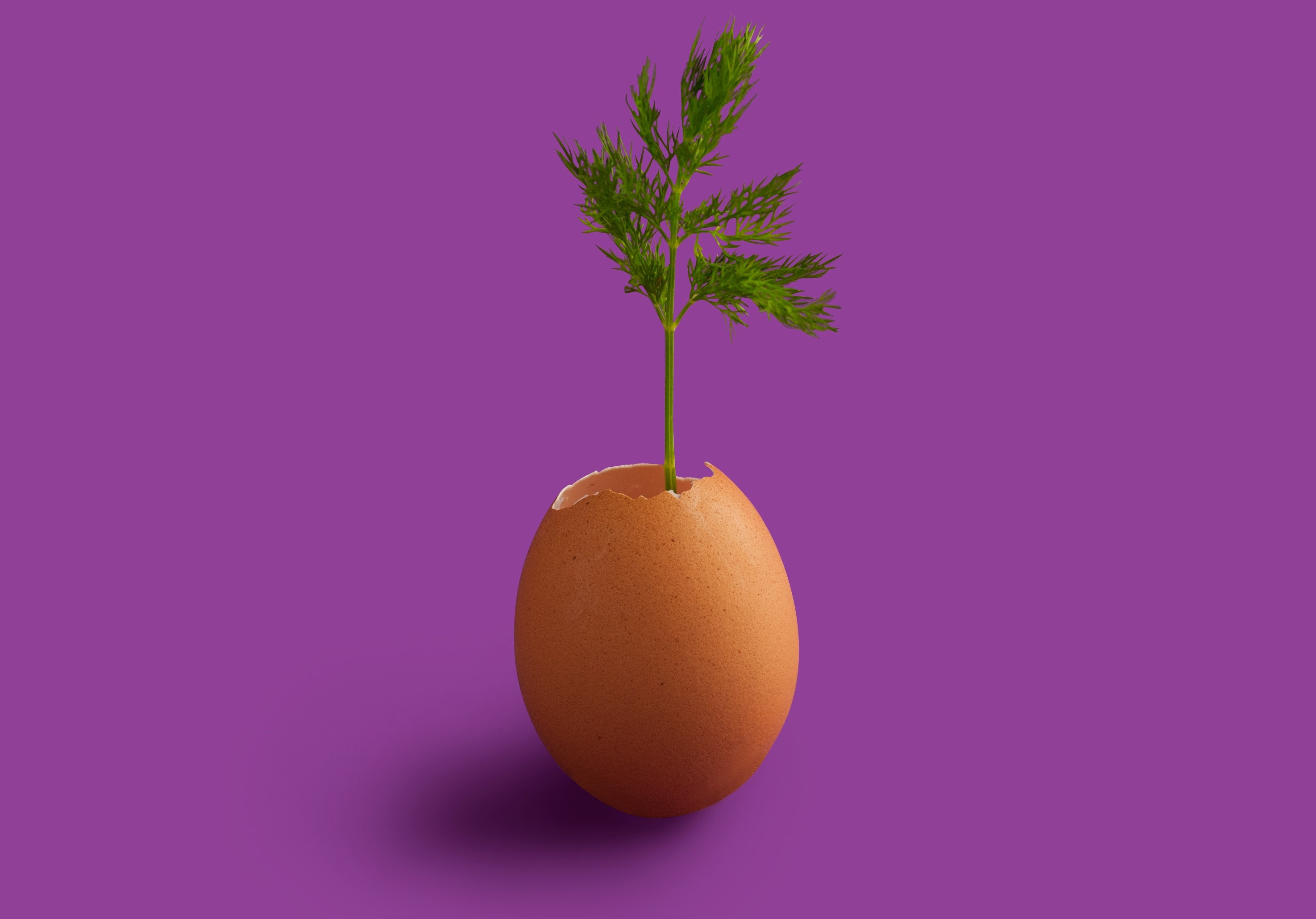 Sperm and Eggs