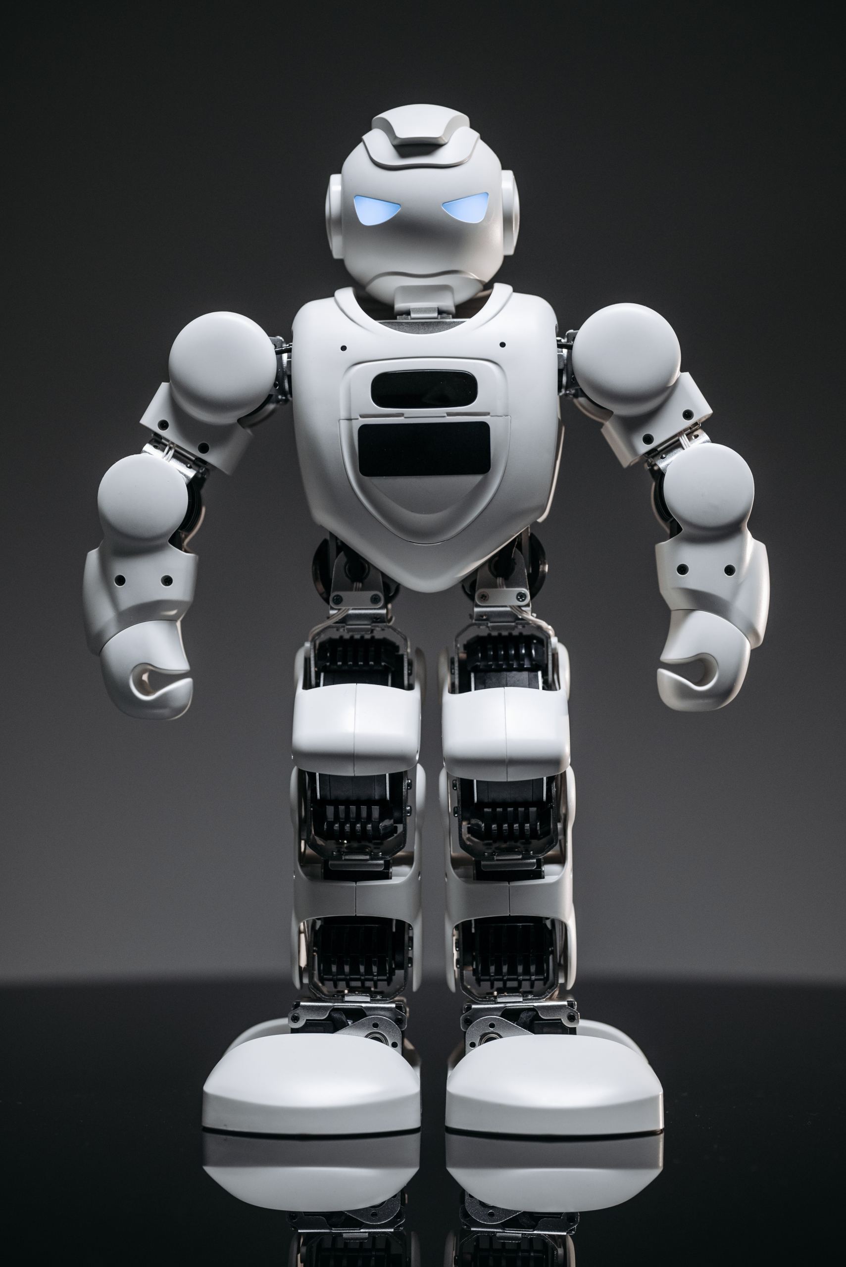 Predictive policing image