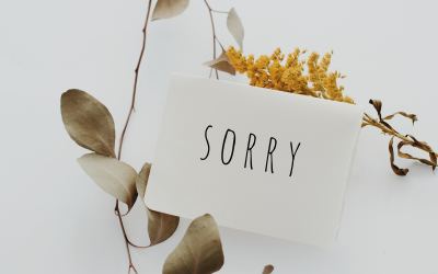 Still Sorry