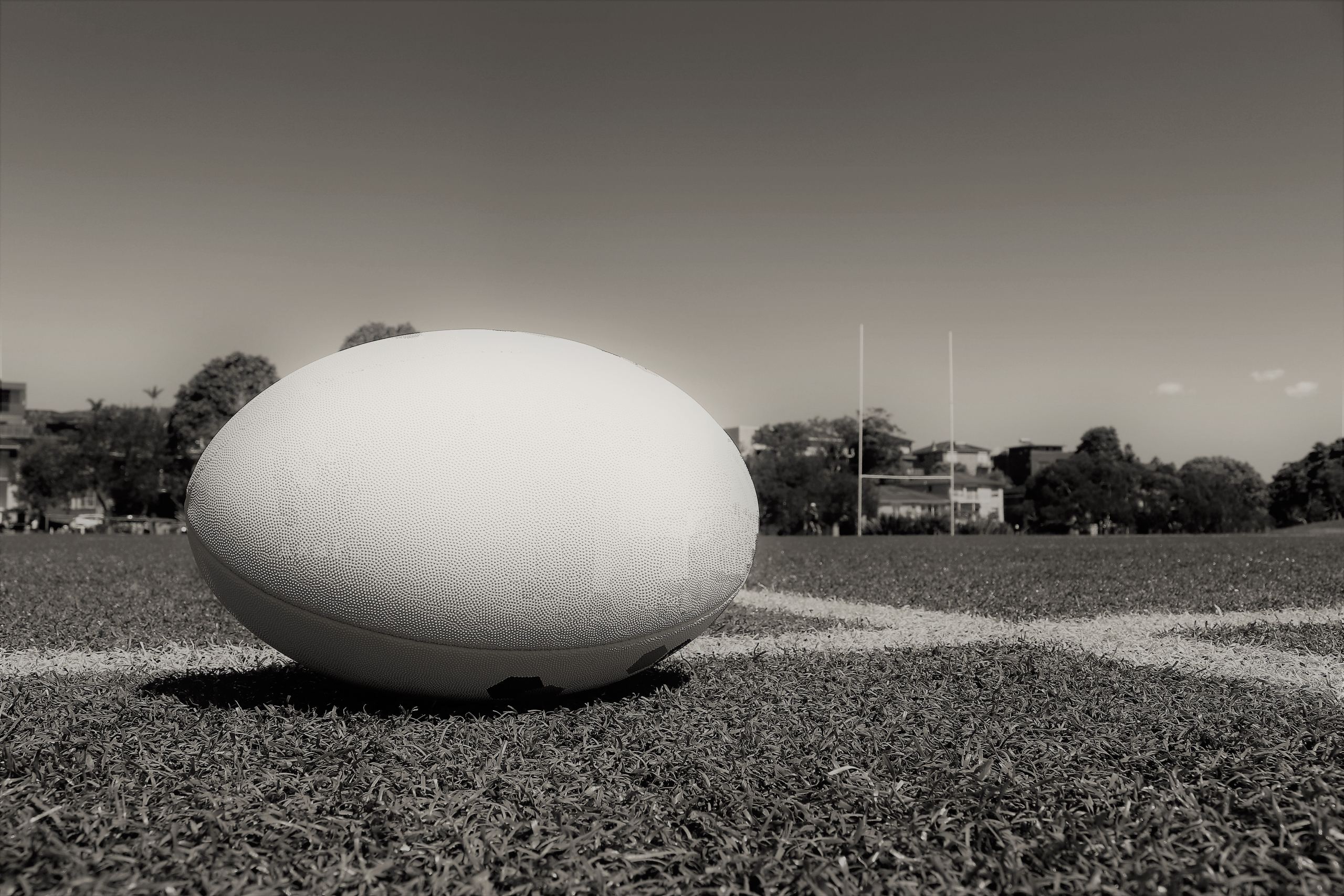 pexels-w-rugby-10137592
